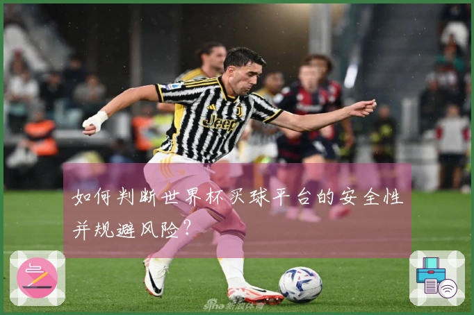 如何判断世界杯买球平台的安全性并规避风险？