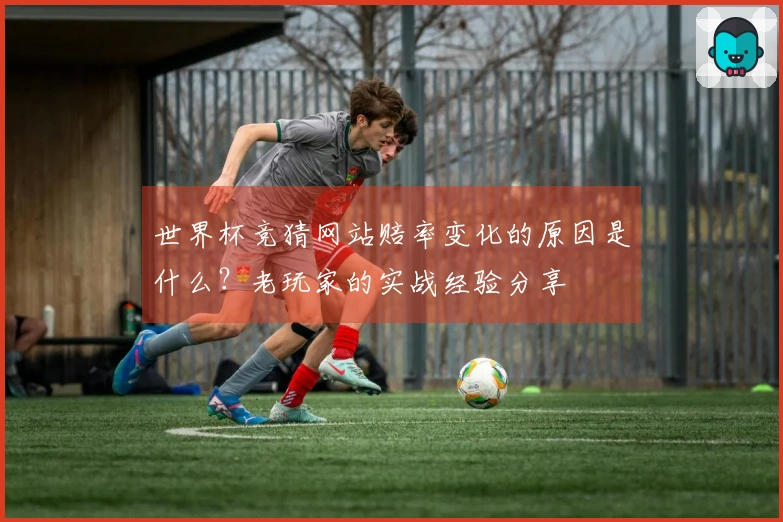 世界杯竞猜网站赔率变化的原因是什么?老玩家的实战经验分享