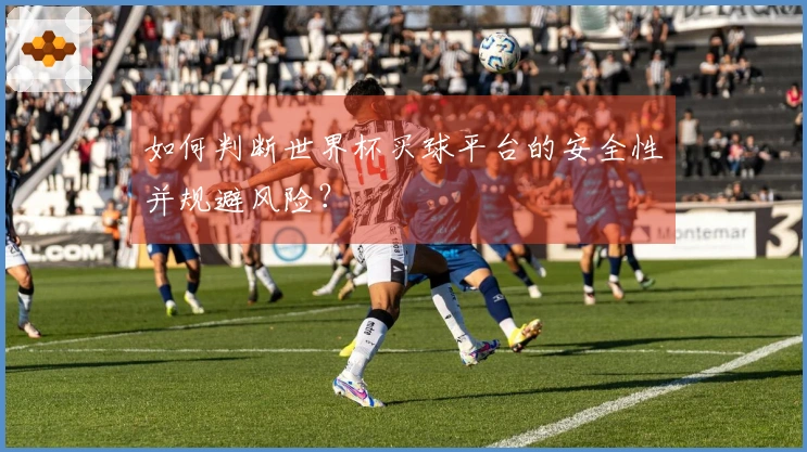 如何判断世界杯买球平台的安全性并规避风险？