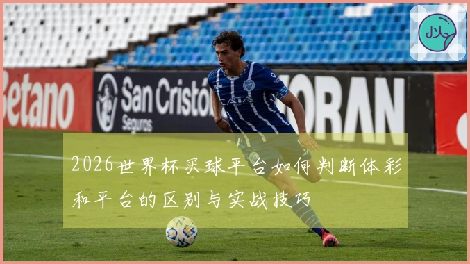2026世界杯买球平台如何判断体彩和平台的区别与实战技巧