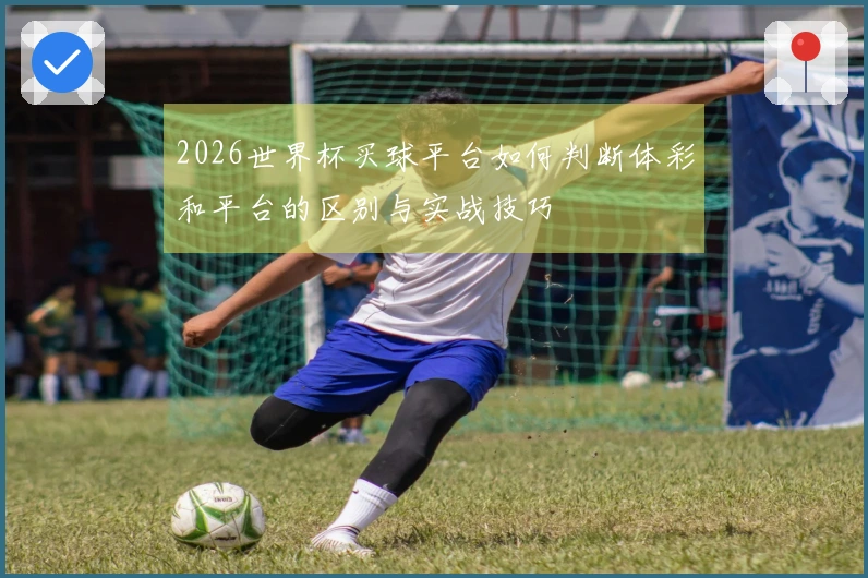 2026世界杯买球平台如何判断体彩和平台的区别与实战技巧