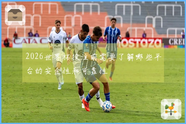 2026世界杯投注前需要了解哪些平台的安全性和可靠性